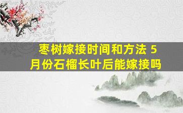 枣树嫁接时间和方法 5月份石榴长叶后能嫁接吗